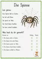 Vorschau - Arbeitsblätter - Wiesentiere Leseverständnis - 1. Klasse - Seite 3