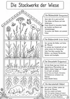 Vorschau - Arbeitsblätter - Stockwerke der Wiese - Arbeitsblätter - Seite 3