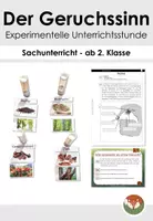 Vorschau - Arbeitsblätter - Der Geruchssinn - experimentelle Unterrichtsstunde (ab 2. Klasse) - Deckblatt