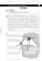 Vorschau - Arbeitsblätter - Der Geruchssinn - experimentelle Unterrichtsstunde (ab 2. Klasse) - Seite 3