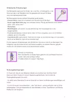 Vorschau - Stationenlernen - Bild - Bild Memospiel Allerlei: für Kita und Vorschule - Seite 1