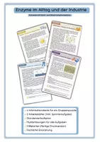 Vorschau - Stundenentwürfe - Enzyme im Alltag und der Industrie Gesamtpaket - Deckblatt