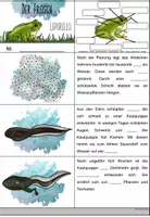 Vorschau - Arbeitsblätter - Leporello zur Entwicklung des Frosches - Seite 3
