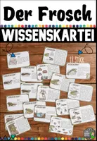 Vorschau - Stationenlernen - Wissenskartei zum Frosch (18 Karteikarten) - Deckblatt