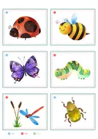 Vorschau - Spiele - Insekten – Bildkarten | 15 Karten mit Artikelpunkten in zwei Größen | Kita Grundschule - Seite 2