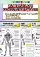 Vorschau - Arbeitsblätter - Arbeitsblatt Skelett Klasse 5–8 – Stütz- und Bewegungsapparat Knochen, Gelenke & Muskeln einfach erklärt | sofort einsetzbar - Deckblatt