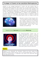 Vorschau - Arbeitsblätter - Dopamin und Belohnungssystem Social-Media - Seite 1