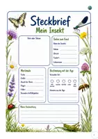 Vorschau - Arbeitsblätter - Forscherheft: Insekten bestimmen mithilfe einer App - Seite 3