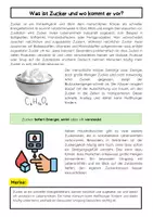 Vorschau - Arbeitsblätter - Ernährung & Suchtmechanismen: Zucker, Dopamin, Belohnungssystem, Essverhalten - Seite 2