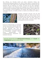 Vorschau - Arbeitsblätter - Streusalz: Winterdienst, Gefrierpunktserniedrigung & Natriumchlorid - Seite 2