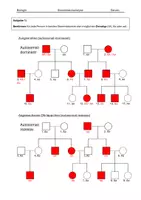 Vorschau - Arbeitsblätter - Schritt für Schritt Stammbäume analysieren: Einführung und Grundlagen - Seite 3