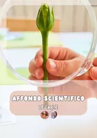 anteprima - Flashcard - 🌳CARTE NOMENCLATURA-parti albero e fiore 🌺 - Pagina di copertina