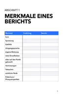 Vorschau - Unterrichtsreihen - Bericht Jgst. 5-7 (Skript Angabe) - Seite 3