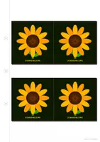 Vorschau - Arbeitsblätter - Blumen Garderoben Bilder Schilder Karten - Seite 1