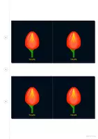 Vorschau - Arbeitsblätter - Blumen Garderoben Bilder Schilder Karten - Seite 3