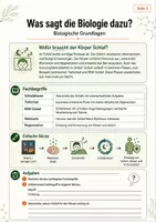 Vorschau - Arbeitsblätter - Bio-Faktencheck: Sleepmaxxing - Unterrichtsmaterial zu Schlaf, Schlafphasen, Melatonin, Regeneration und Social-Media-Trends - Seite 3