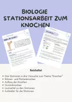 Vorschau - Arbeitsblätter - Stationsarbeit zum Thema "Knochen" - Deckblatt