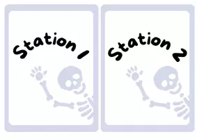Vorschau - Arbeitsblätter - Stationsarbeit zum Thema "Knochen" - Seite 1