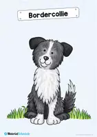 Vorschau - Bildkarten - 35 Flashcards: Hunde & Hunderassen - Seite 1