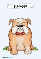 Vorschau - Bildkarten - 35 Flashcards: Hunde & Hunderassen - Seite 2