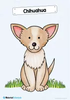 Vorschau - Bildkarten - 35 Flashcards: Hunde & Hunderassen - Seite 3