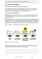 Vorschau - Unterrichtsreihen - Englisch für Gärtner: Plant Life Cycles (A2-B2) - Seite 2