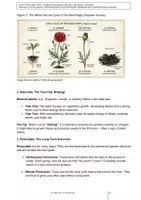 Vorschau - Unterrichtsreihen - Englisch für Gärtner: Plant Life Cycles (A2-B2) - Seite 3