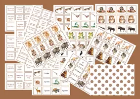 zapowiedź - Past simple irregular verbs game - obwoluta