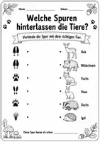 Vorschau - Arbeitsblätter - Heimische Waldtiere & Wildtiere | Steckbriefe & Übungen - Seite 2