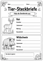 Vorschau - Arbeitsblätter - Heimische Waldtiere & Wildtiere | Steckbriefe & Übungen - Seite 3