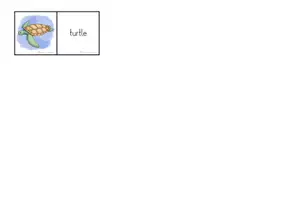 Vorschau - Spiele - Find pairs - „Under the sea" - spielerische Wortschatzfestigung - Seite 2