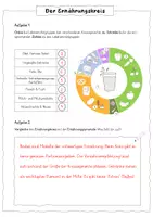 Vorschau - Arbeitsblätter - Arbeitsblatt Ernährungskreis (aktuell 2024) - Seite 3