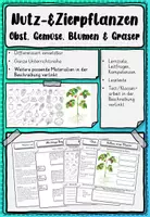 Vorschau - Stundenentwürfe - Obst, Gemüse, Nutzpflanzen Arbeitsheft Klasse 2, 3, 4 - Deckblatt