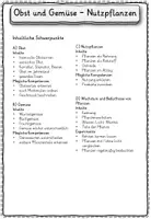 Vorschau - Stundenentwürfe - Obst, Gemüse, Nutzpflanzen Arbeitsheft Klasse 2, 3, 4 - Seite 3
