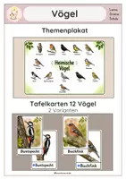 Vorschau - Poster - Vögel- Tafelkarten, Themenplakat - Deckblatt