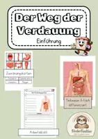 Vorschau - Arbeitsblätter - Verdauung Überblick über die Organe UE1 - Deckblatt