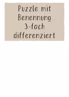 Vorschau - Arbeitsblätter - Verdauung Überblick über die Organe UE1 - Seite 3