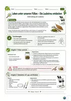 Vorschau - Arbeitsblätter - Laubstreu untersuchen – Leben unter unseren Füßen - Seite 1