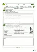Vorschau - Arbeitsblätter - Laubstreu untersuchen – Leben unter unseren Füßen - Seite 3