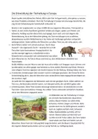 Vorschau - Arbeitsblätter - Sachtext/ Leseverstehen & 5-Schritt-Lesemethode (Klasse 6–8): Von der Steinzeit zur Massentierhaltung - Seite 3