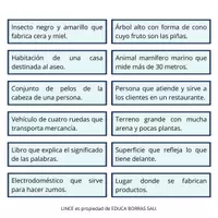 Vista previa - Juegos / Gamificación - PACK LINCE®️: DEFINICIONES + LINCE®️ VISUAL - página 3