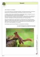 Vorschau - Unterrichtsreihen - Lernwerkstatt Der Baum als Lebensraum | Biologie Sekundarstufe Klasse 5-7 | Wald, Blätter, Früchte, Waldtiere, Stockwerke, Photosynthese | Arbeitsblätter, Kopiervorlagen, Freiarbeit mit Lösungen - Seite 3