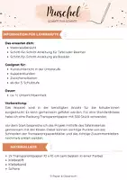 Vorschau - Arbeitsblätter - Muschel Transparentpapier - Seite 1
