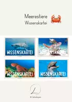 Vorschau - Text - Wissenskartei: Meerestiere - Deckblatt