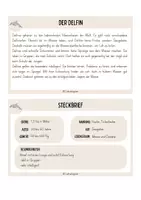 Vorschau - Text - Wissenskartei: Meerestiere - Seite 2