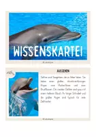 Vorschau - Text - Wissenskartei: Meerestiere - Seite 3