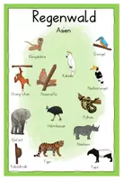 Vorschau - Poster - Tiere im Regenwald - Wortspeicher - Seite 2