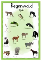 Vorschau - Poster - Tiere im Regenwald - Wortspeicher - Seite 3