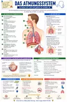 Vorschau - Merkblätter - Atmungssystem - Spickzettel & Übersicht Biologie - Deckblatt
