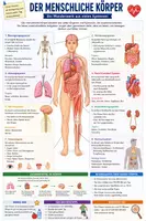 Vorschau - Merkblätter - Spickzettel-Paket für Biologie-Unterricht - Übersichten und Zusammenfassungen - Seite 1